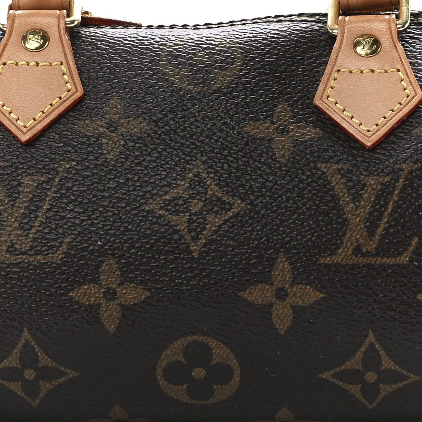 Monogram Mini Sac HL Speedy