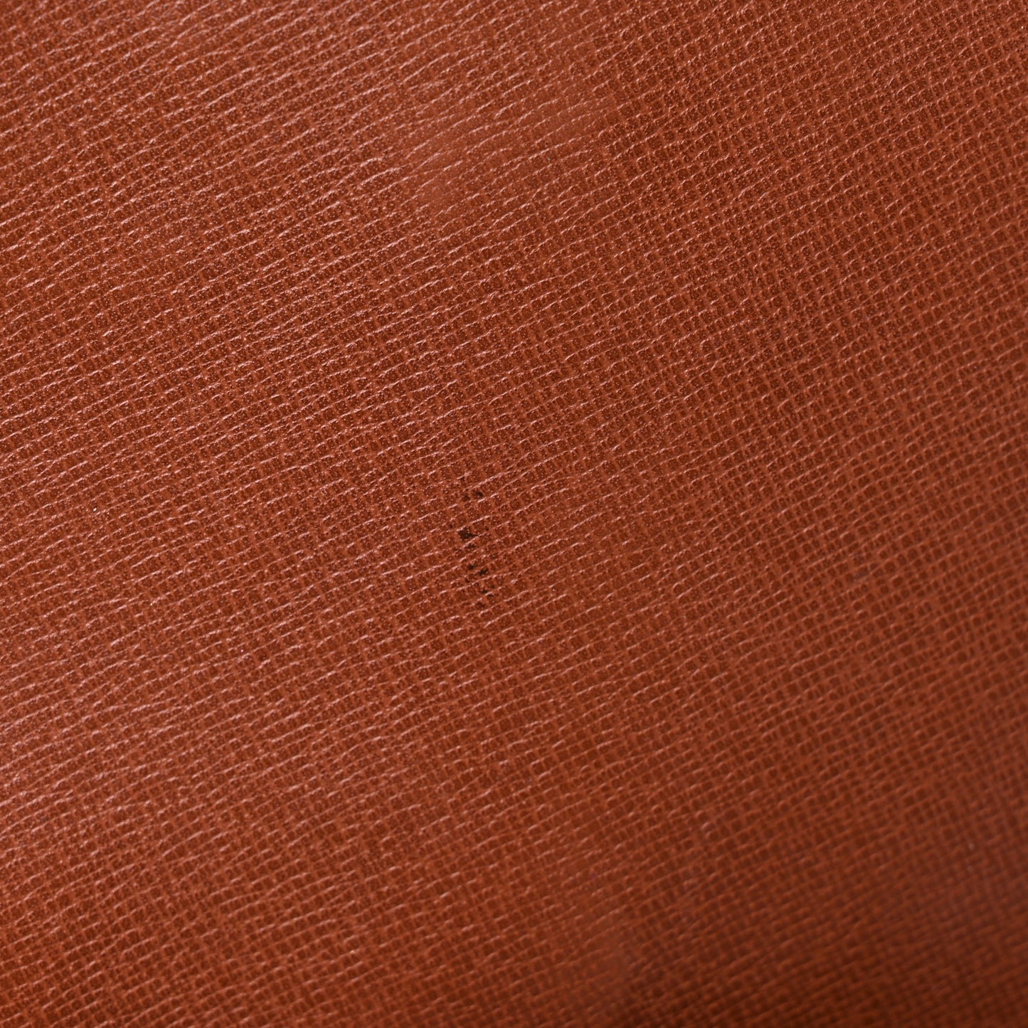 Monogram Chantilly GM