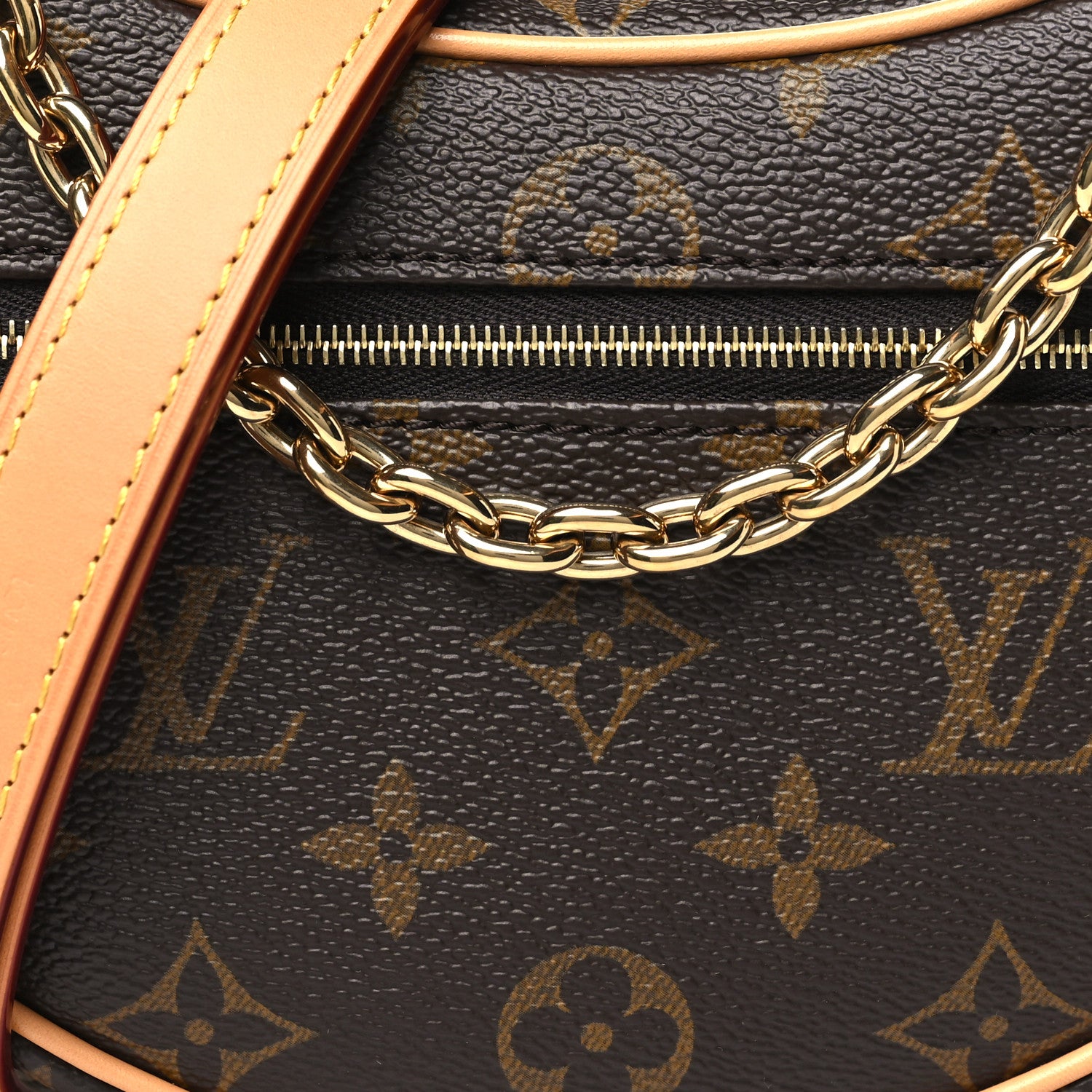 Louis Vuitton Monogram Loop 7 of 9