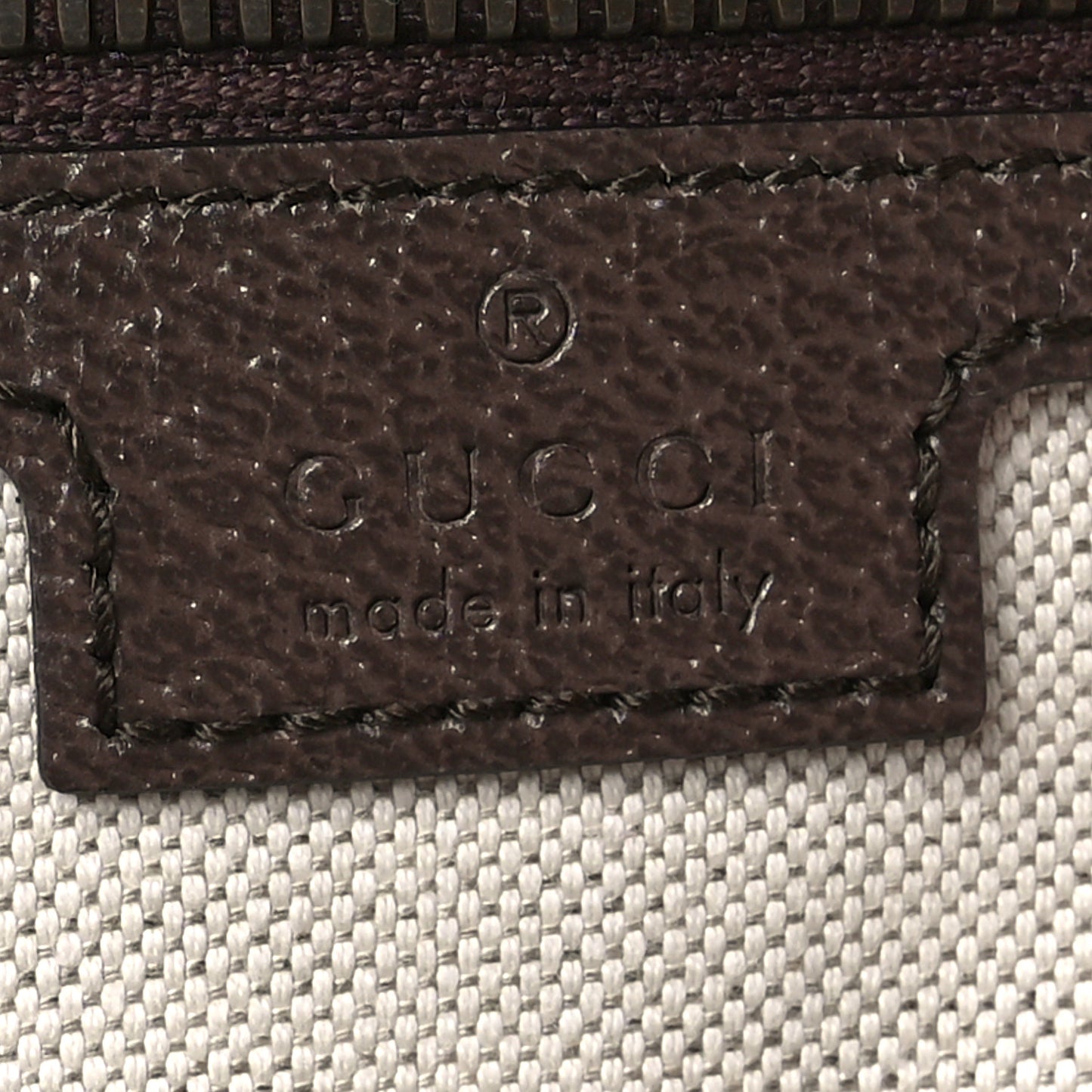 GG Supreme Monogram Textured Dollar Calfskin Web Small Ophidia Day Backpack Beige Ebony Fluorescent Fuchsia