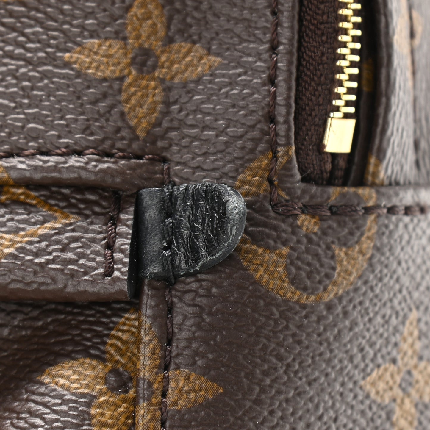 Monogram Palm Springs Backpack Mini