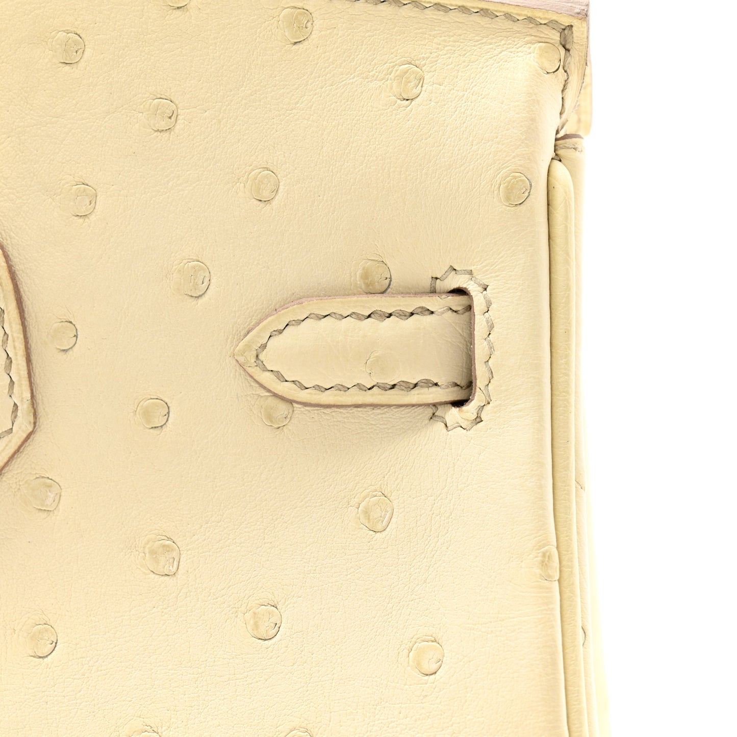 Ostrich Birkin 25 Beton