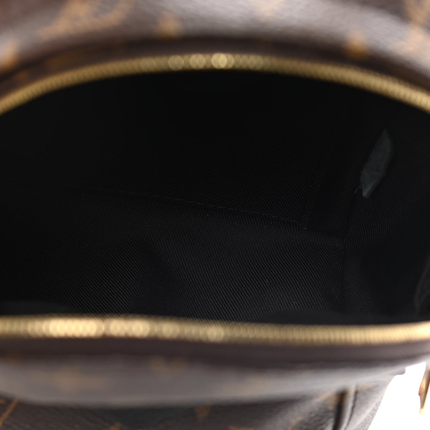 Monogram Palm Springs Backpack Mini