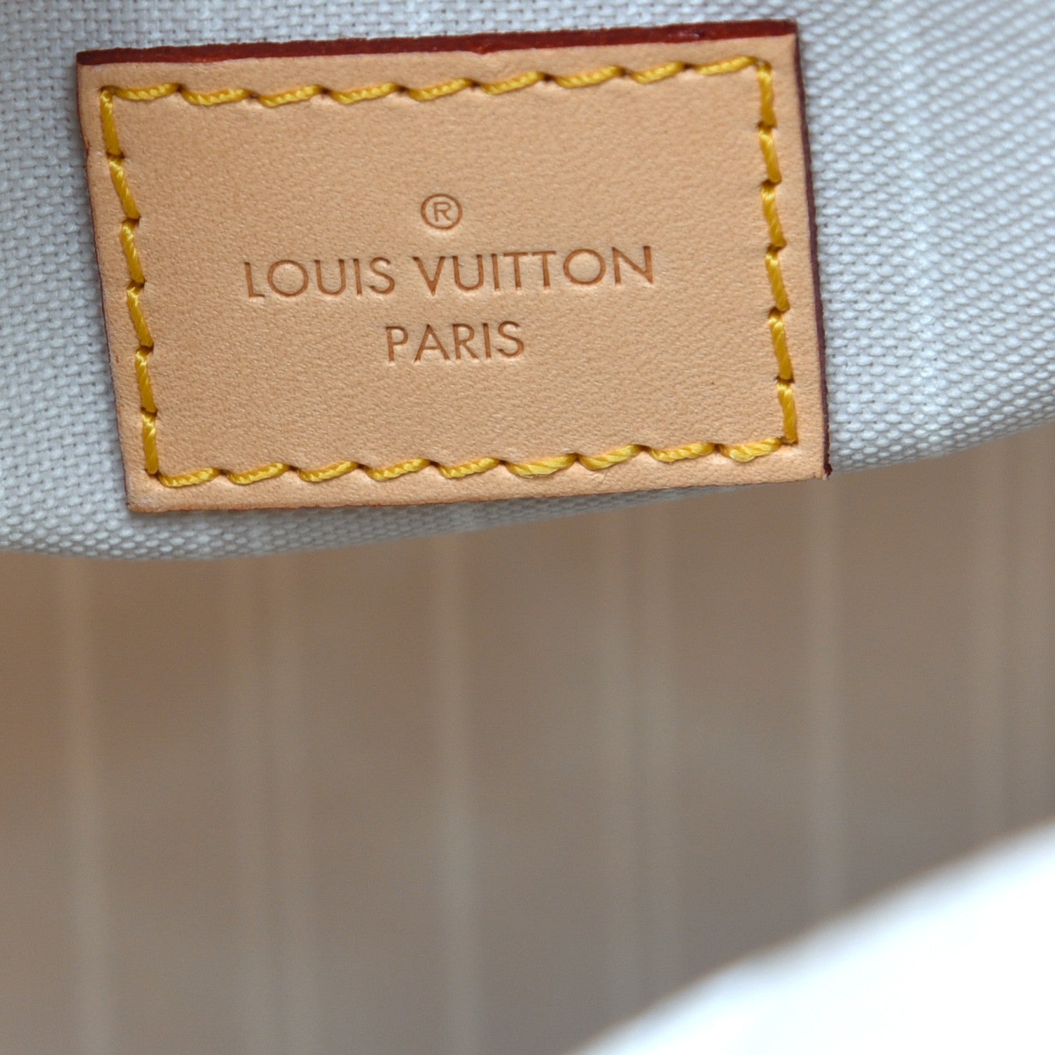 Louis Vuitton Monogram Giant By The Pool Speedy Bandouliere 25 Brume 6 of 11