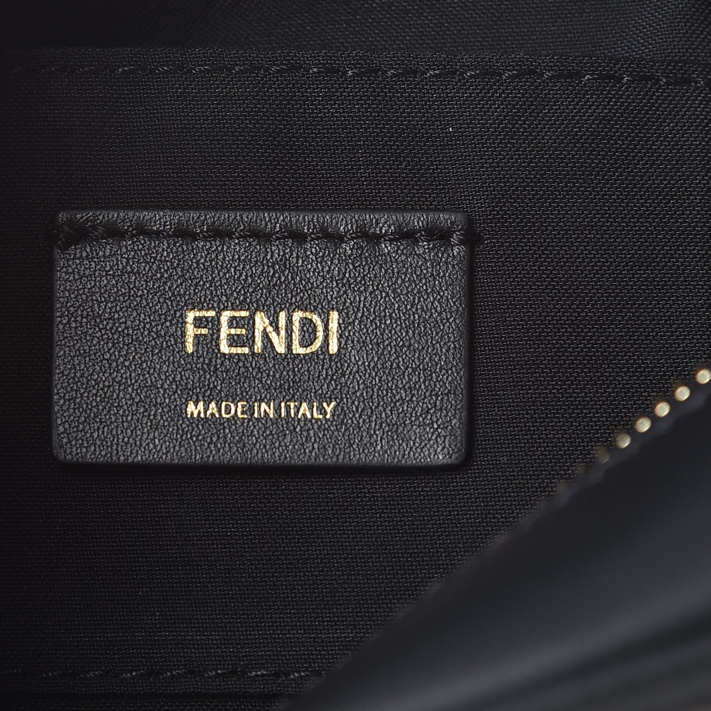 Glazed Fabric Vitello Century F is Fendi FF 1974 Stamp Patch Camera Case Mogano Panna Black