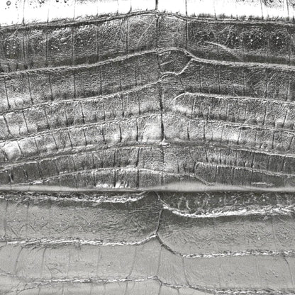 Nancy Gonzalez Metallic Crocodile Clutch Silver 9 of 9