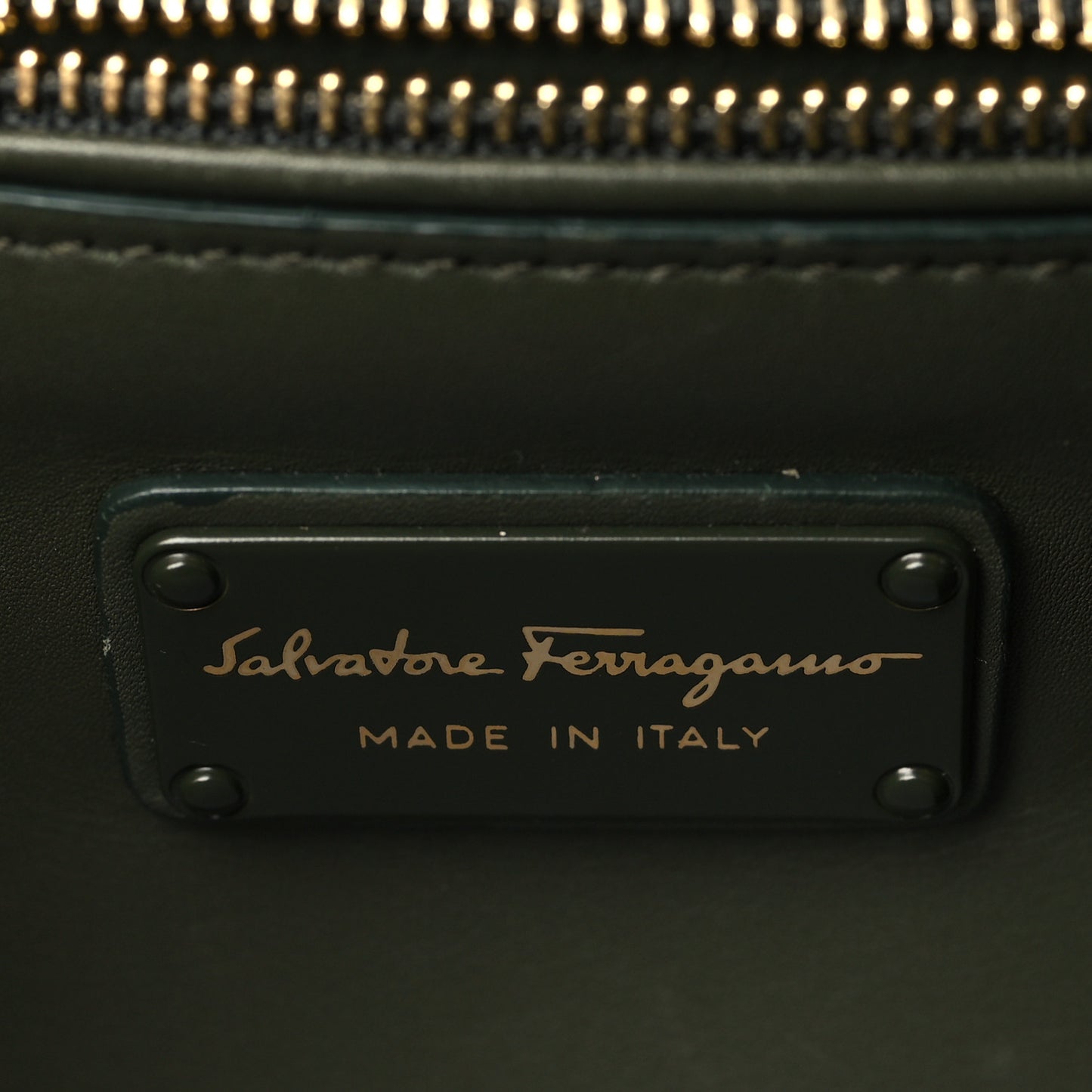 Calfskin Alligator Pleated Soft Sofia Satchel Green