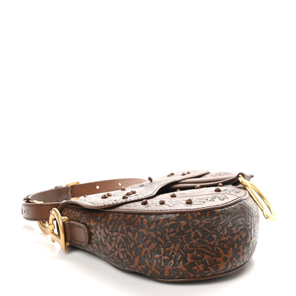 Christian Dior Calfskin Painted Laser Cut Saddle Bag With Strap Brown Multicolor 4 of 10