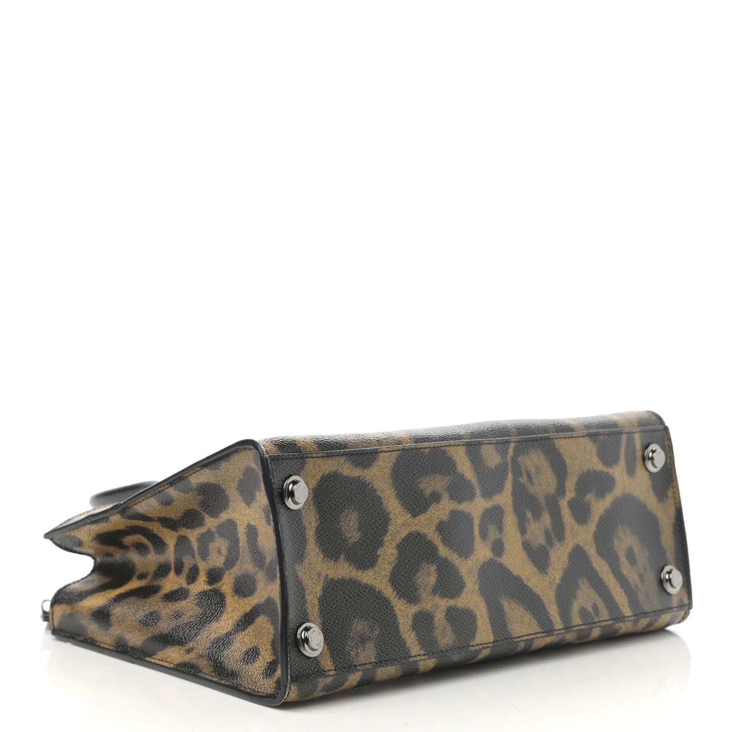 Louis Vuitton Canvas Calfskin Wild Animal Print City Steamer EW Marron 4 of 11