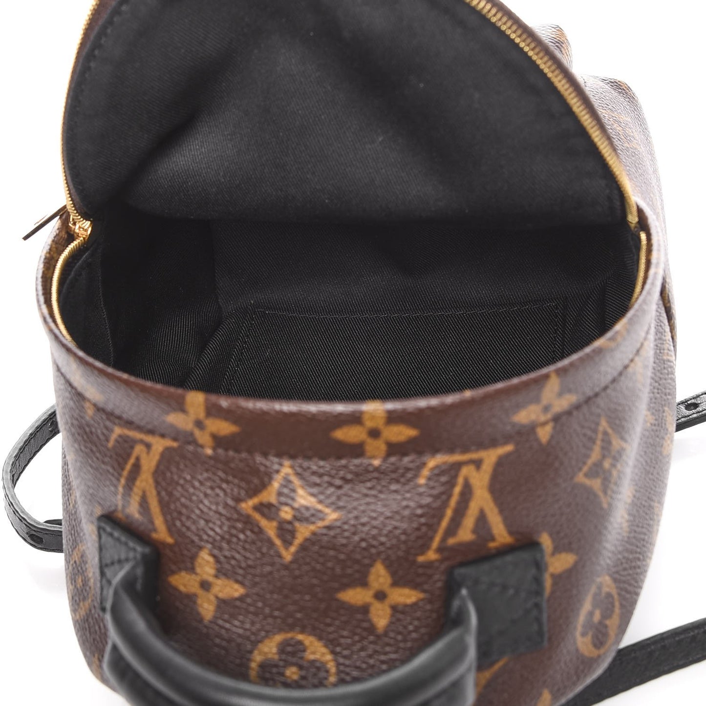 Monogram Palm Springs Backpack Mini
