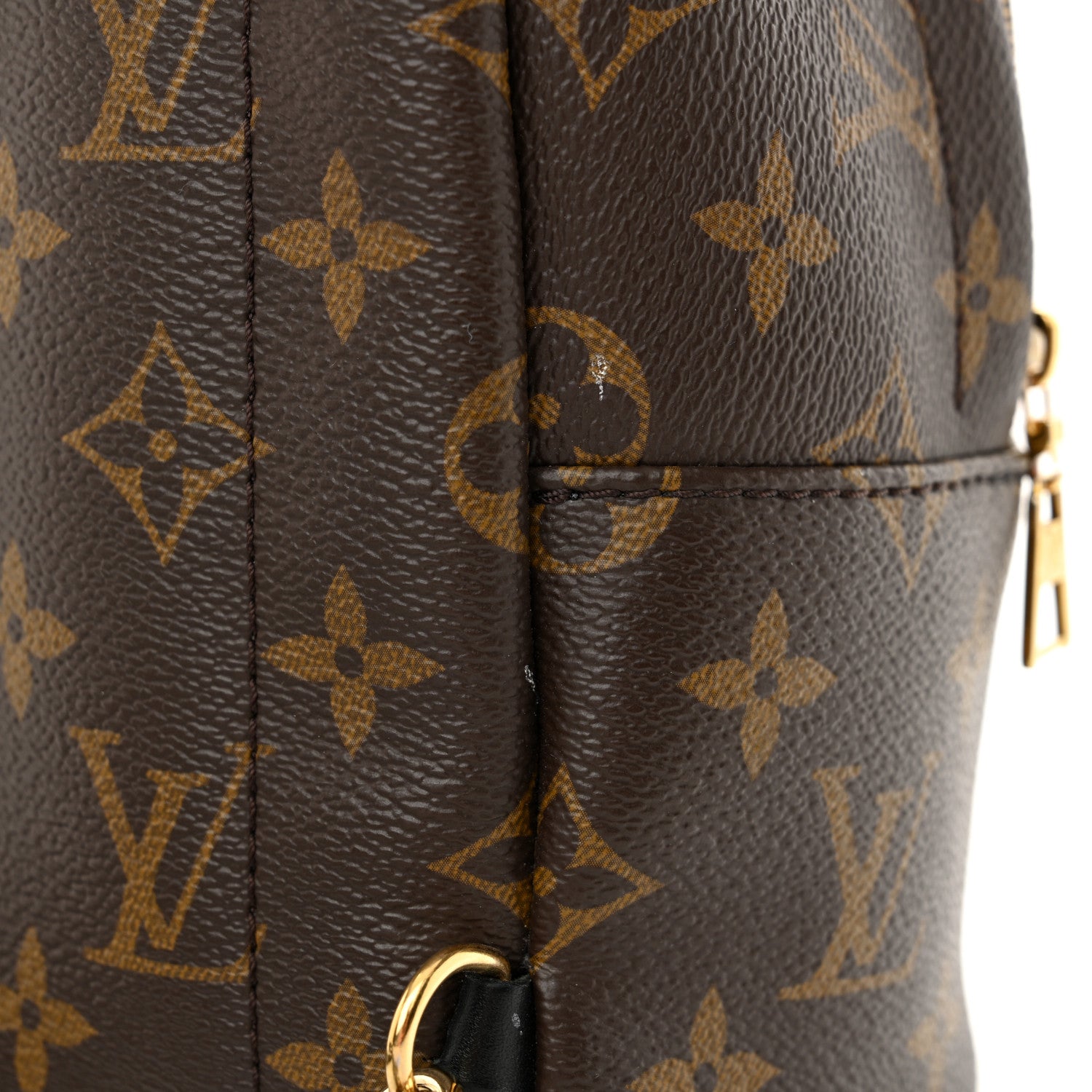 Louis Vuitton Monogram Palm Springs Backpack Mini 13 of 14
