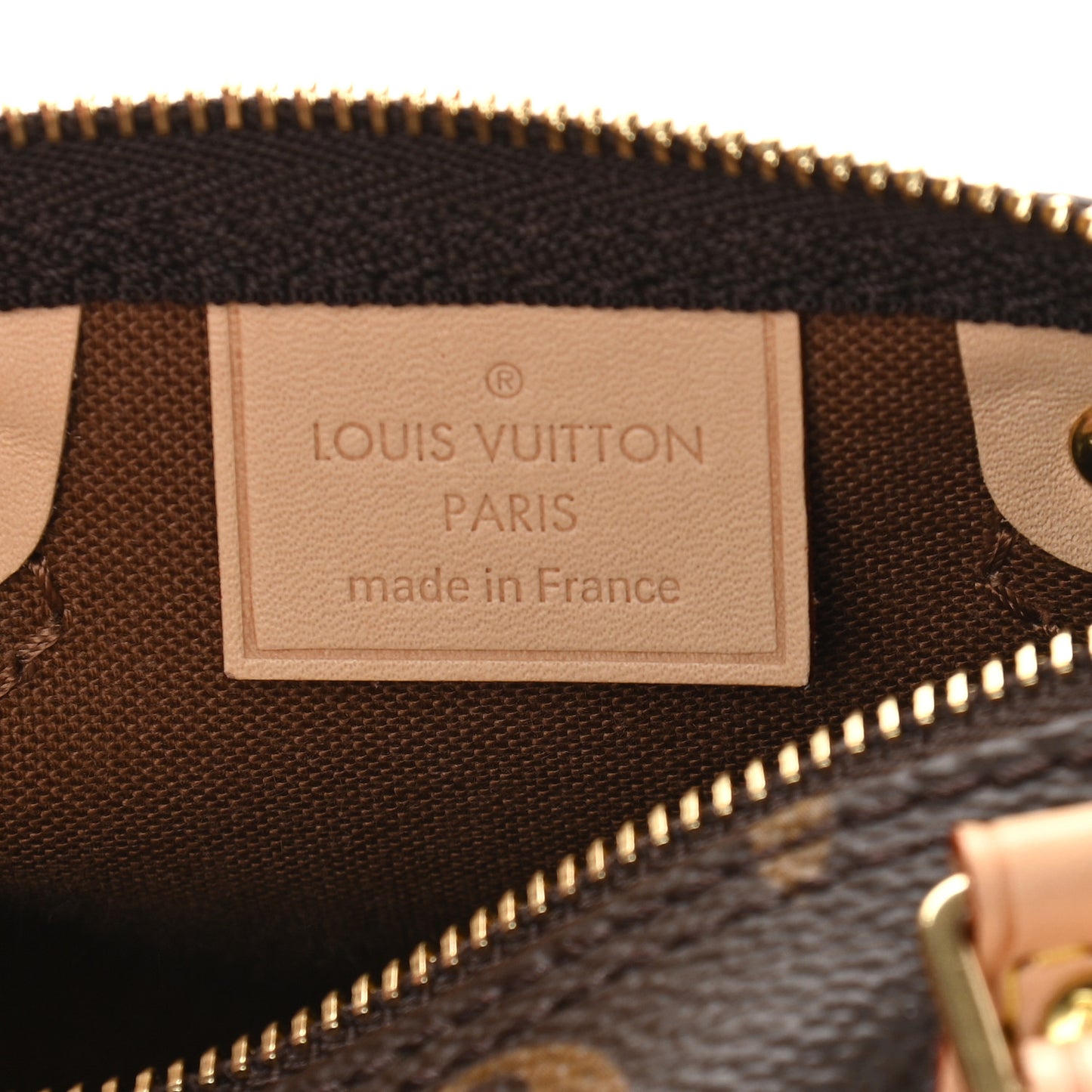 Monogram Nano Speedy