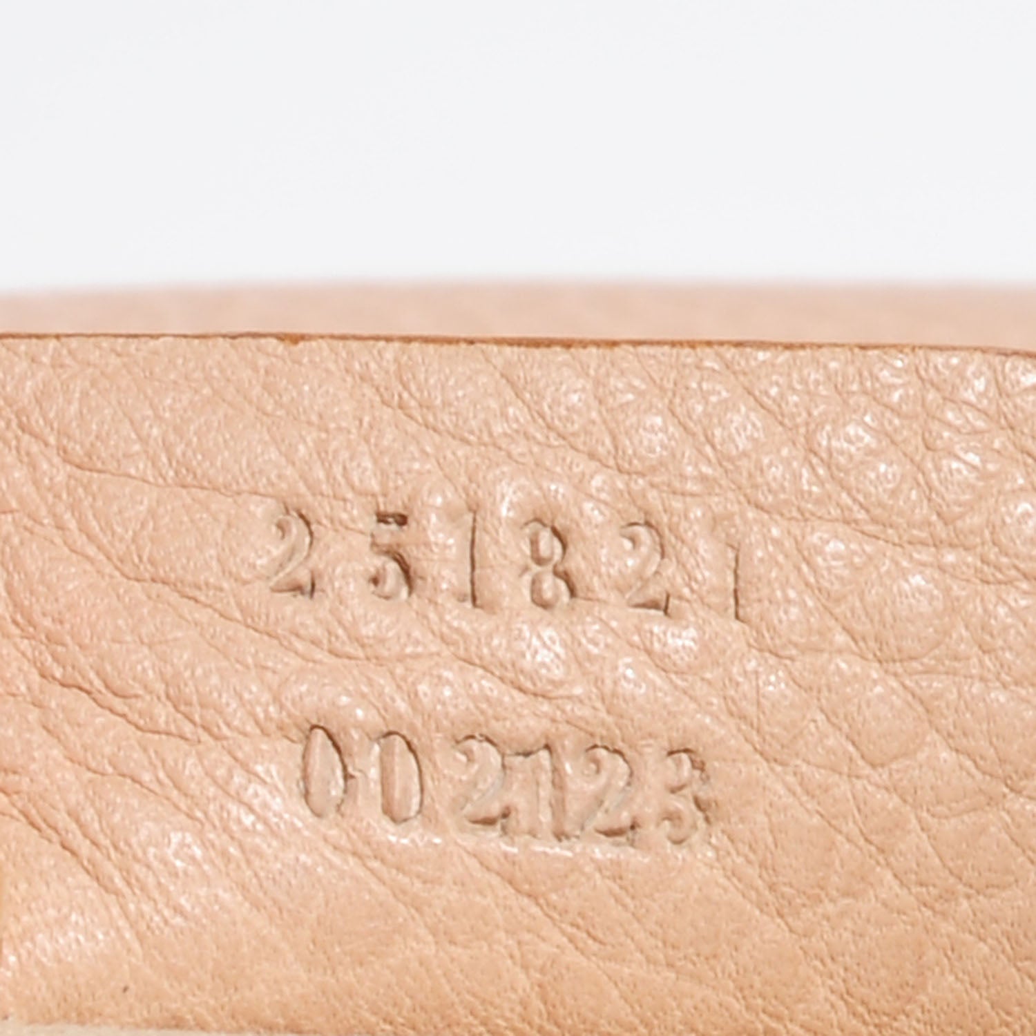 Gucci Dollar Calfskin Small 1973 Chain Shoulder Bag Camelia 6 of 9