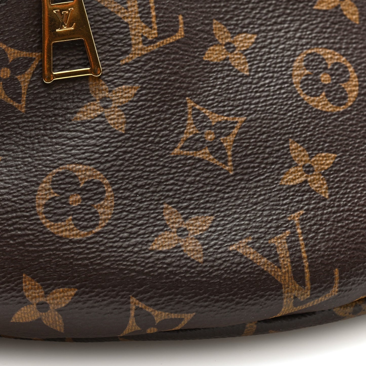 Monogram Bumbag