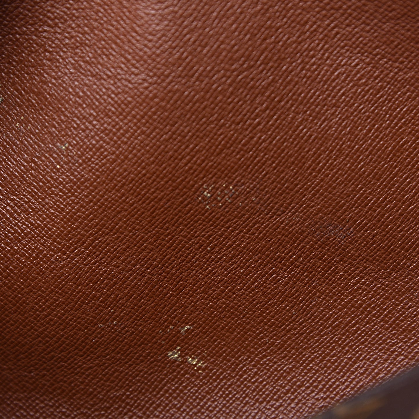 Monogram Papillon 26