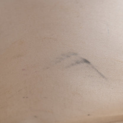 Celine Canvas Calfskin Vertical Cabas Natural Tan 7 of 12