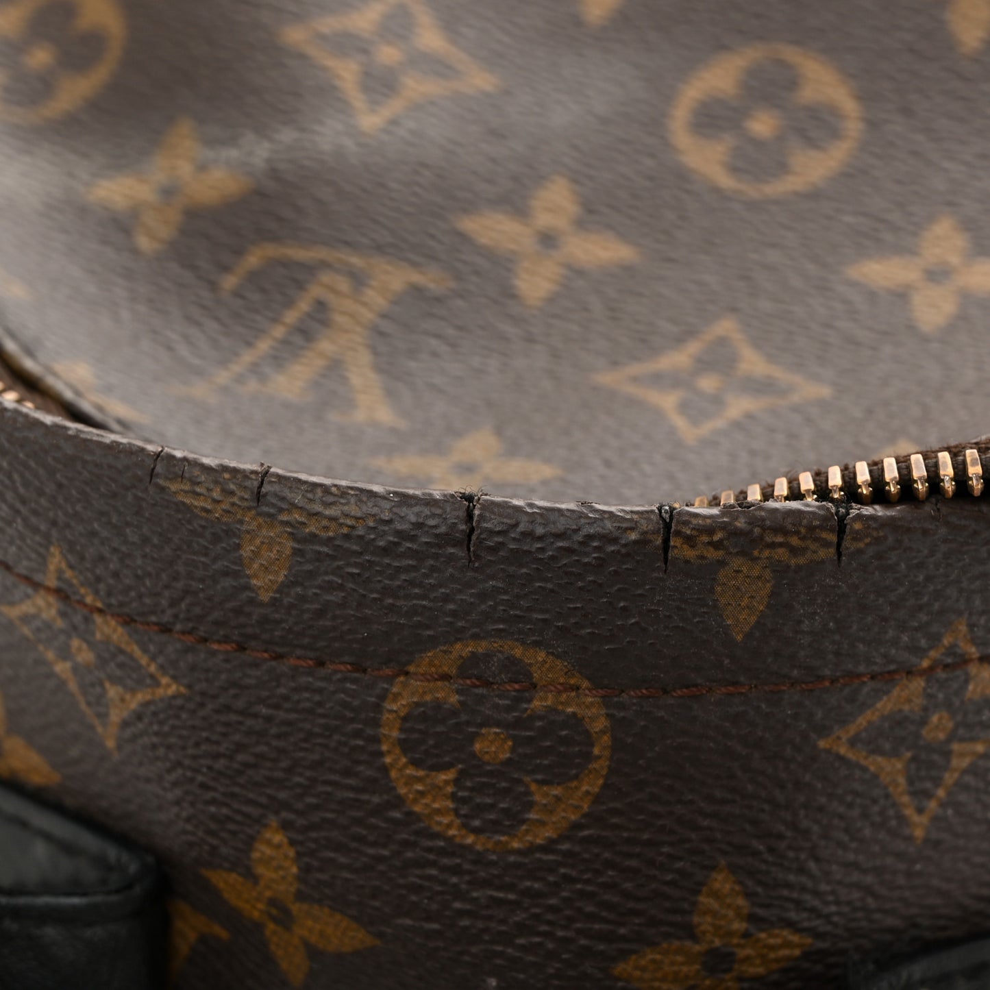 Monogram Palm Springs Backpack PM