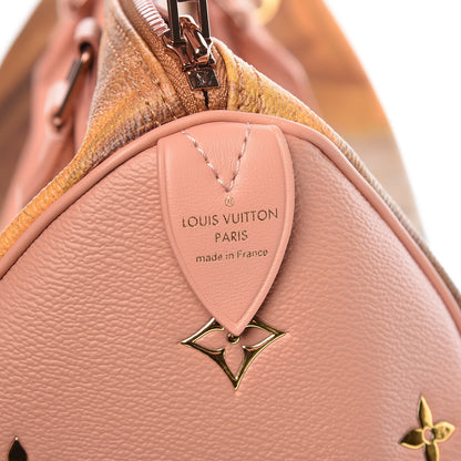 Louis Vuitton Masters Fragonard Speedy 30 6 of 12