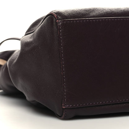 Mansur Gavriel Lambskin Mini Protea Bag Cabernet Cleo 8 of 11