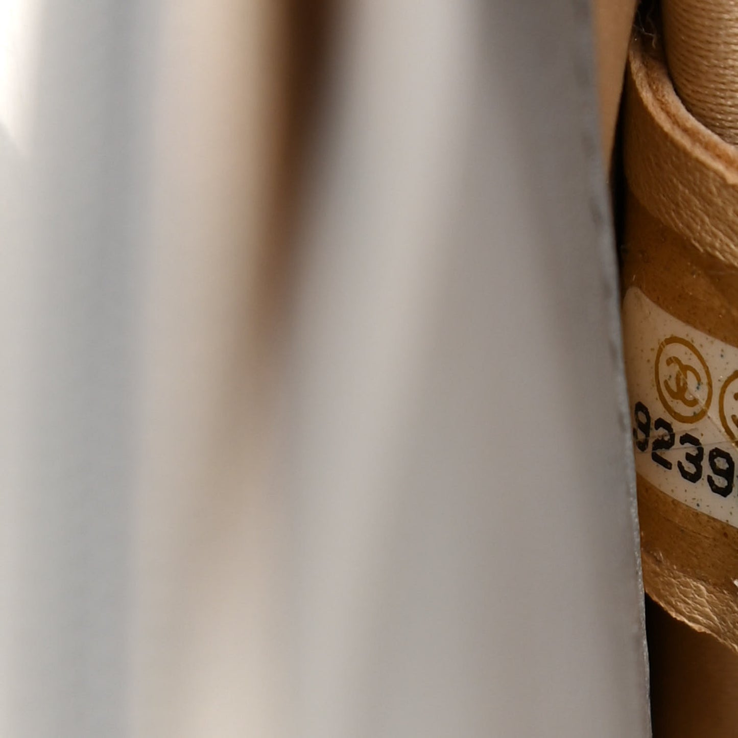 Lizard Golden Class Wallet on Chain WOC Grey