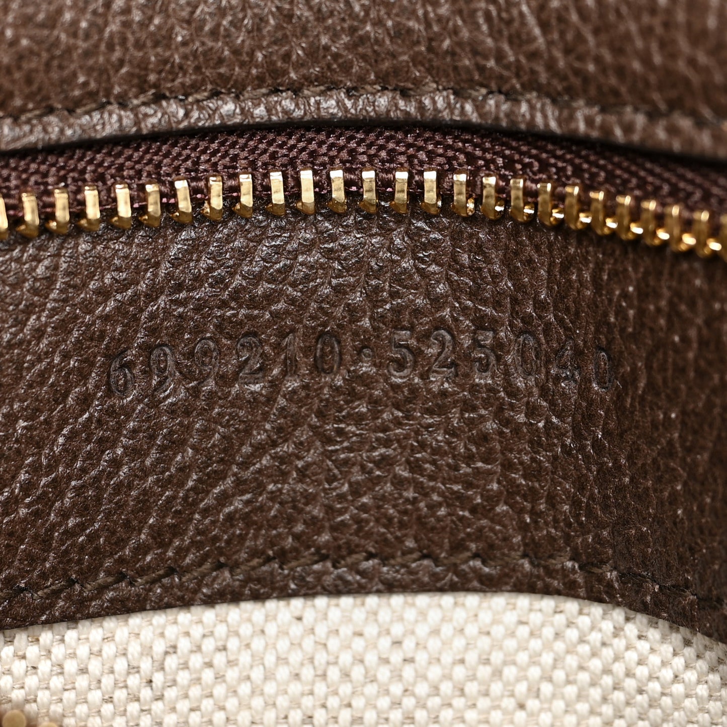 GG Supreme Monogram Textured Dollar Calfskin Medium Blondie Shoulder Flap Bag Beige Ebony New Acero
