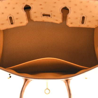 Hermes Ostrich Birkin Sellier 25 Gold 5 of 10