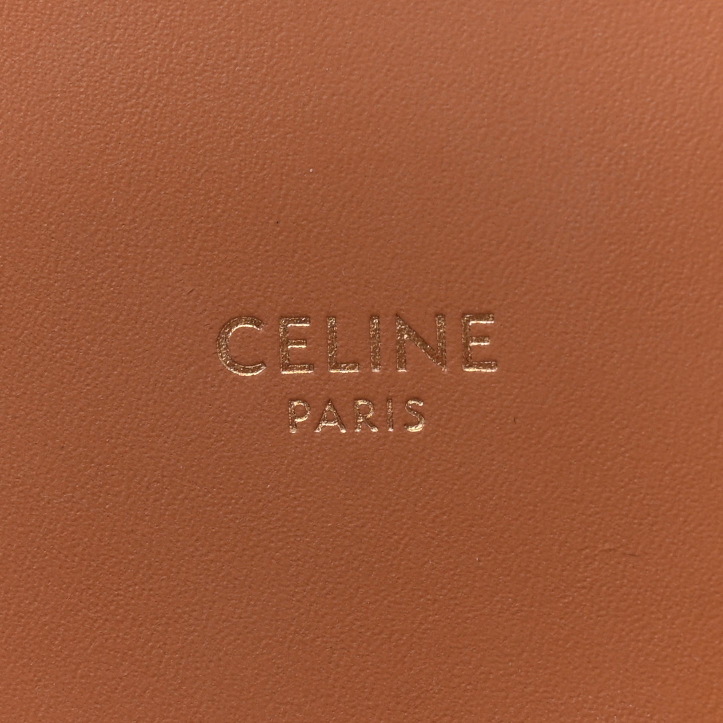 Canvas Calfskin Logo Print Small Vertical Cabas Natural Tan