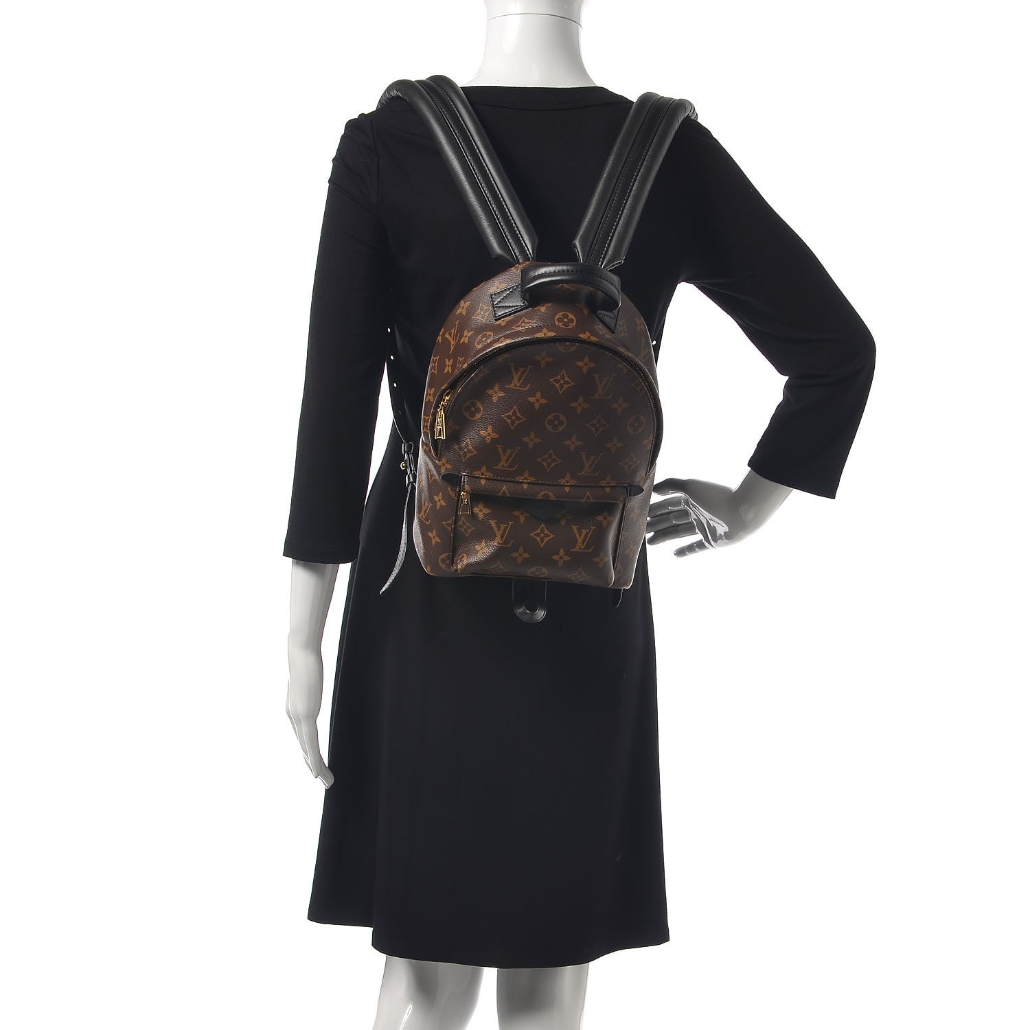 Louis Vuitton Monogram Palm Springs Backpack PM 2 of 7