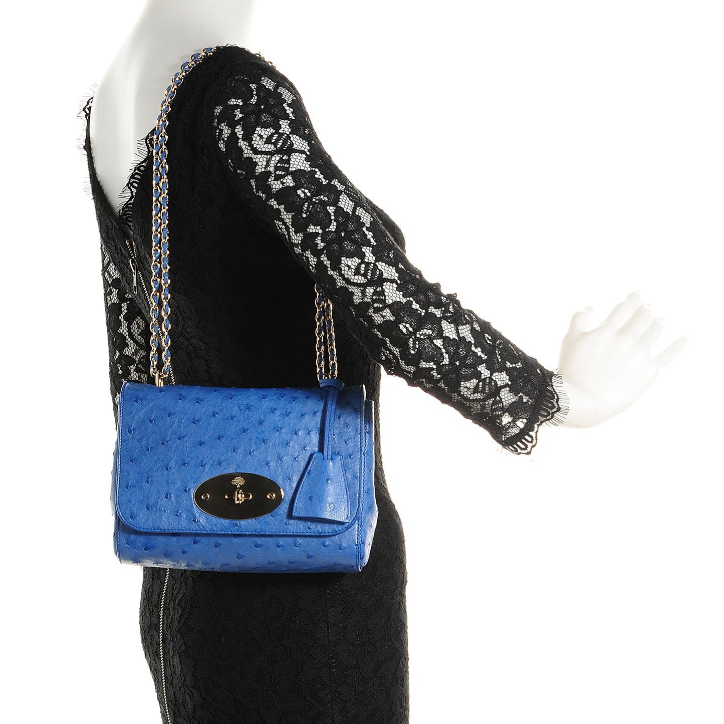 Ostrich Lily Flap Bluebell Blue