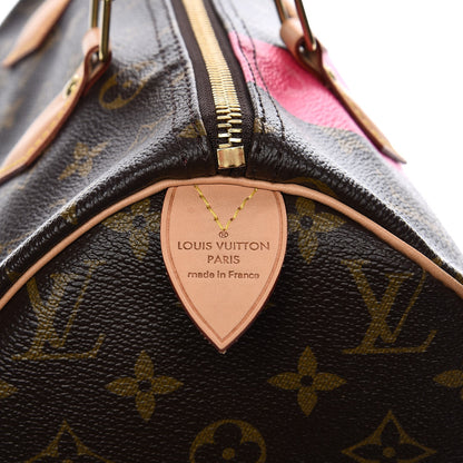 Louis Vuitton Monogram Speedy 30 V Grenade 6 of 9