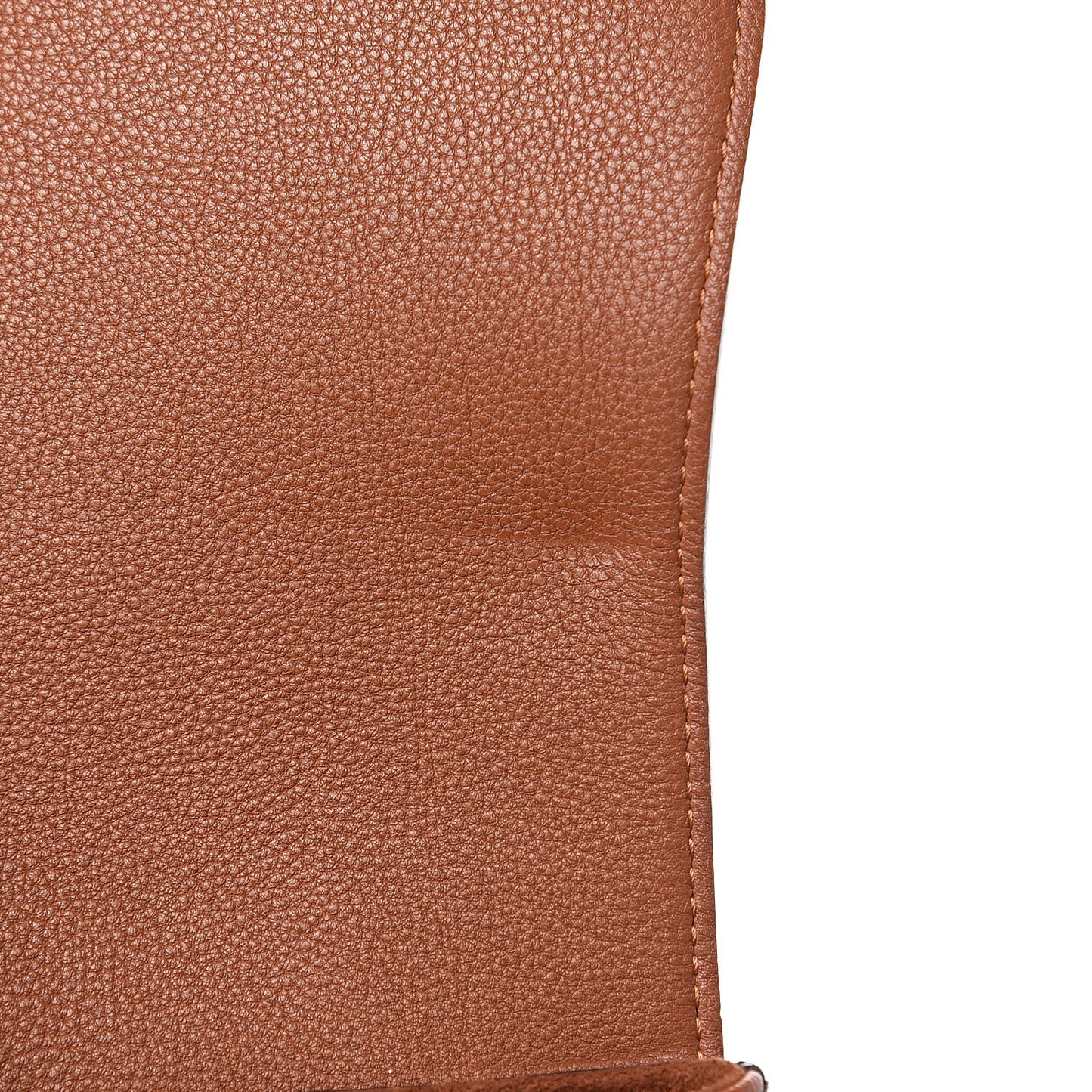 Monogram Eden MM Camel