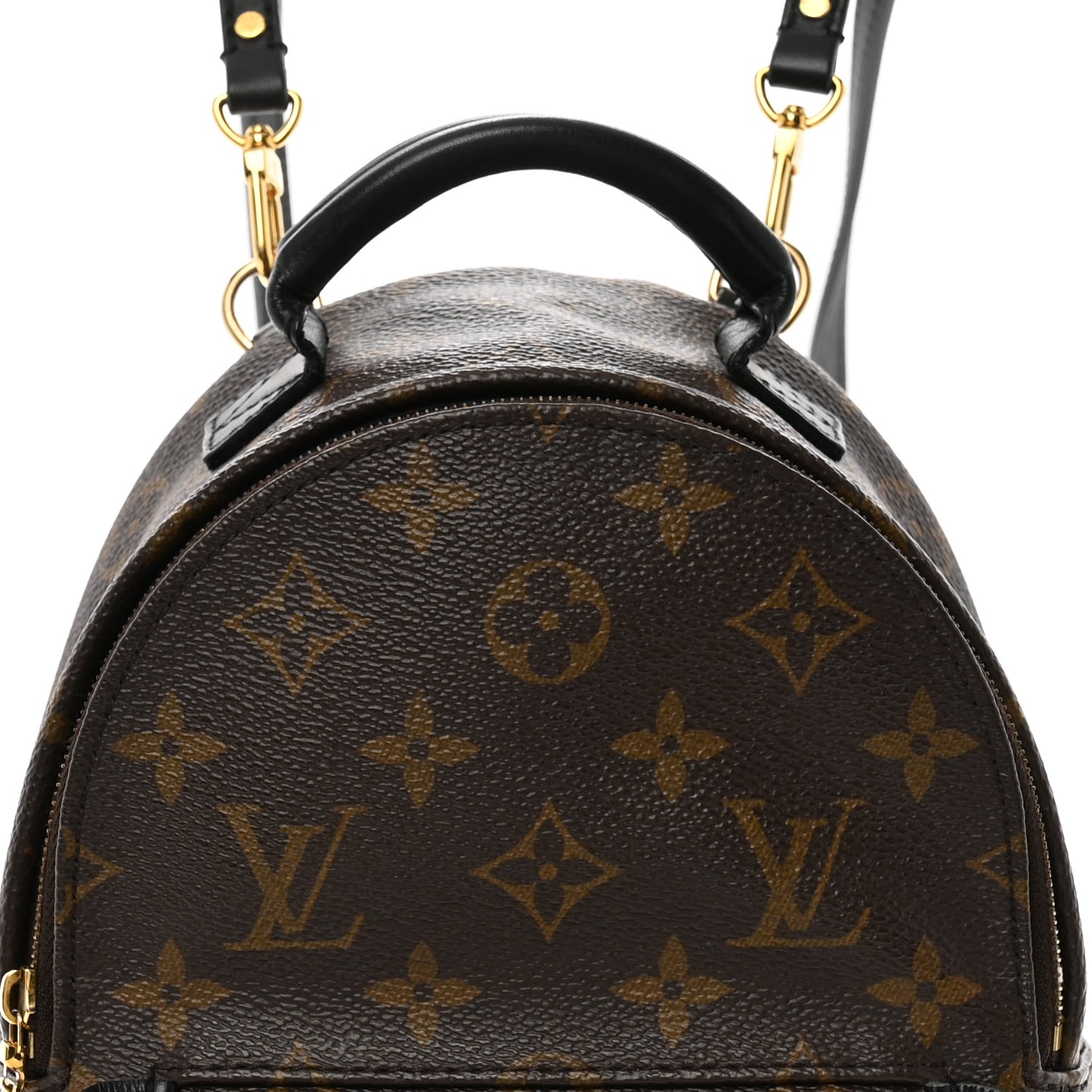 Monogram Palm Springs Backpack Mini