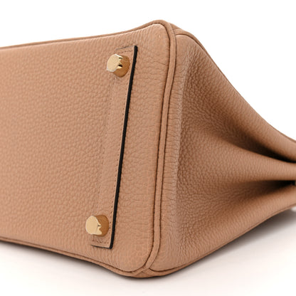 Hermes Togo Birkin 25 Chai 10 of 12
