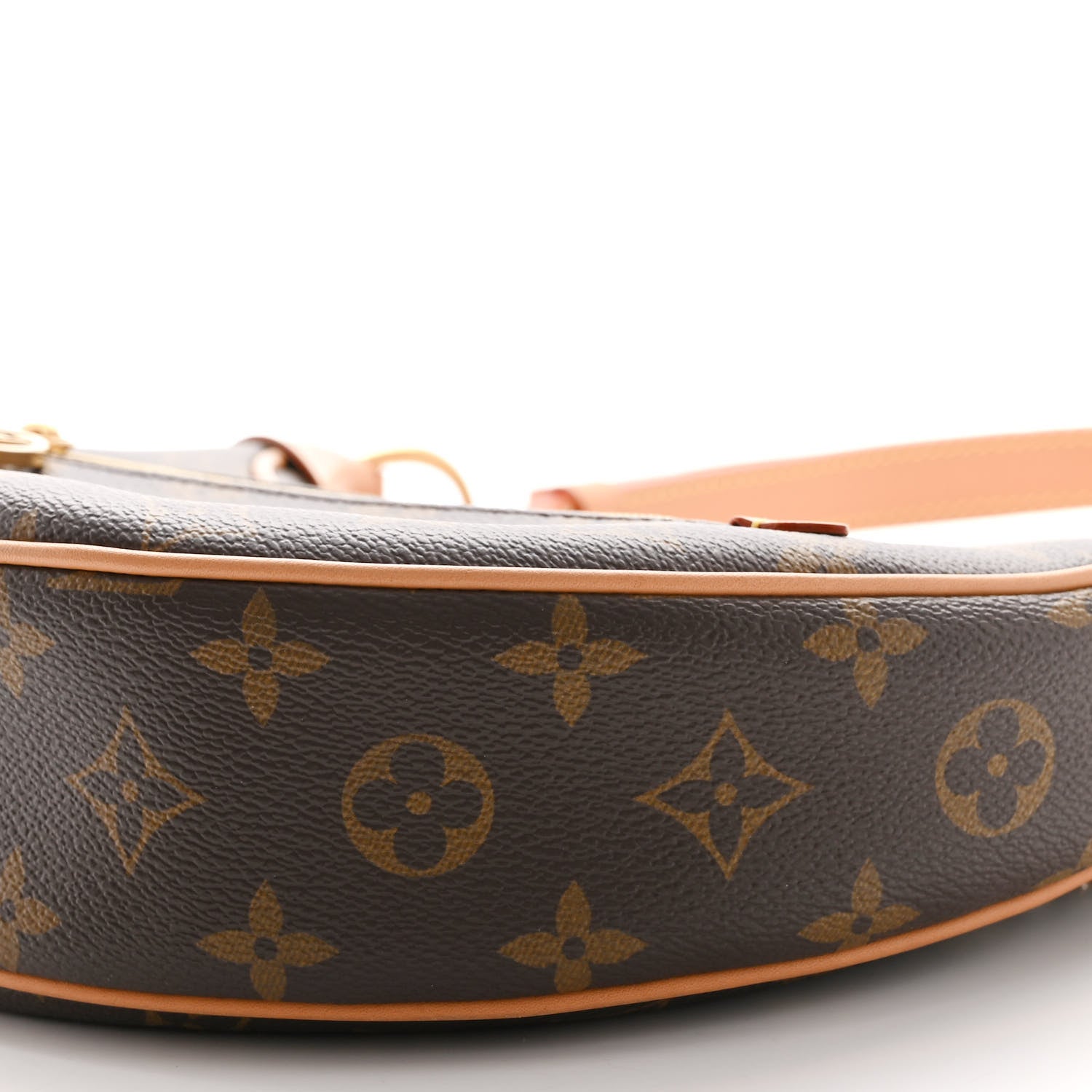 Louis Vuitton Monogram Loop 9 of 9