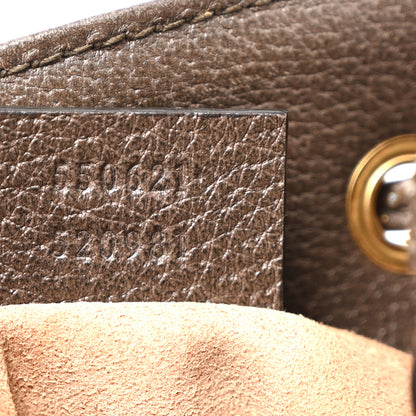 Gucci GG Supreme Monogram Web Small Ophidia Bucket Bag Brown 7 of 11