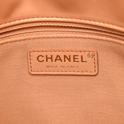 Chanel Shiny Calfskin Quilted Small Supple Twins Hobo Bag Brown 6 of 11