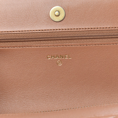 Chanel Lambskin Quilted Chanel 19 Wallet On Chain WOC Brown 6 of 14