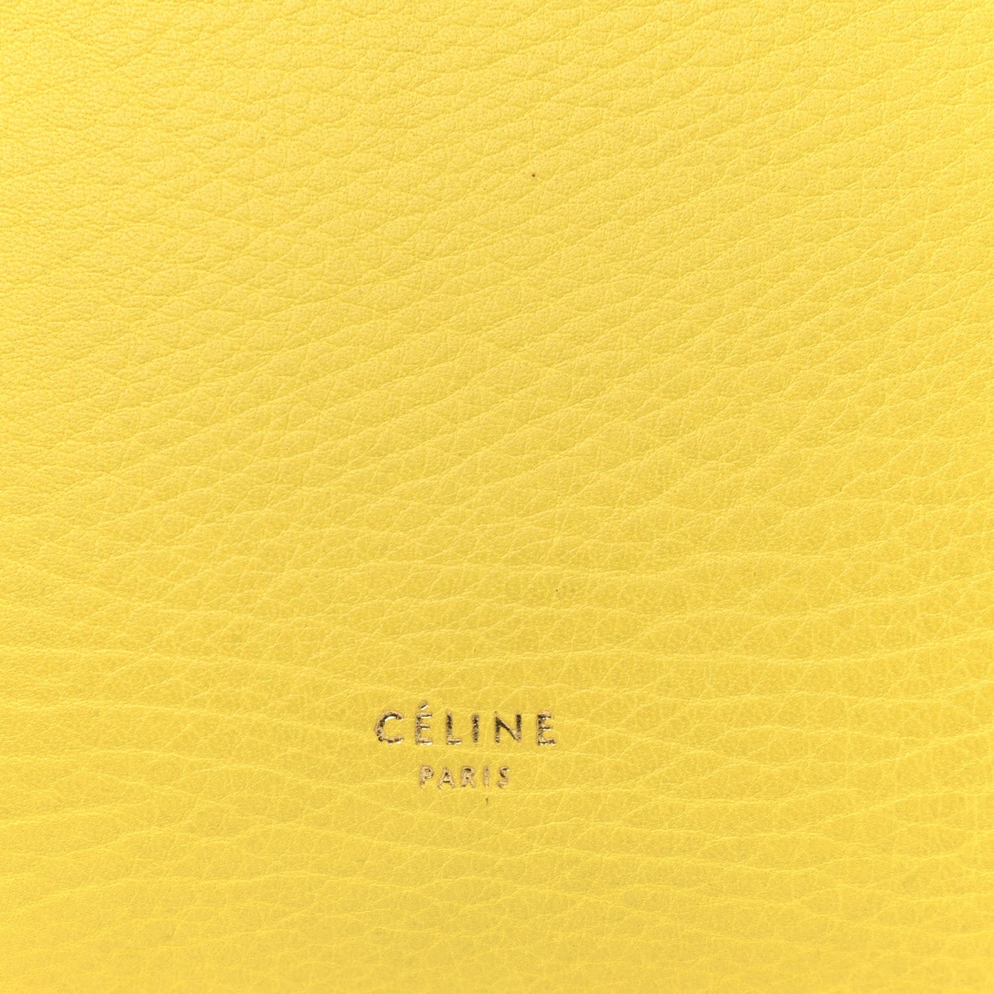 Elephant Calfskin Mini Belt Bag Sun Yellow