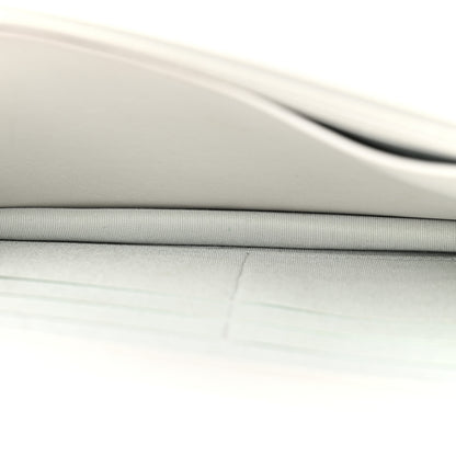 Chanel Metallic Galuchat Stingray Lambskin Boy Wallet On Chain WOC Silver 5 of 15