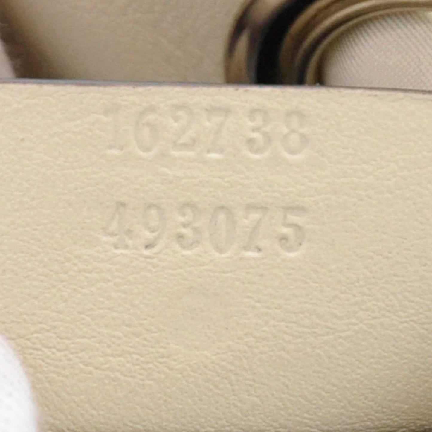 Monogram Positano Hobo
