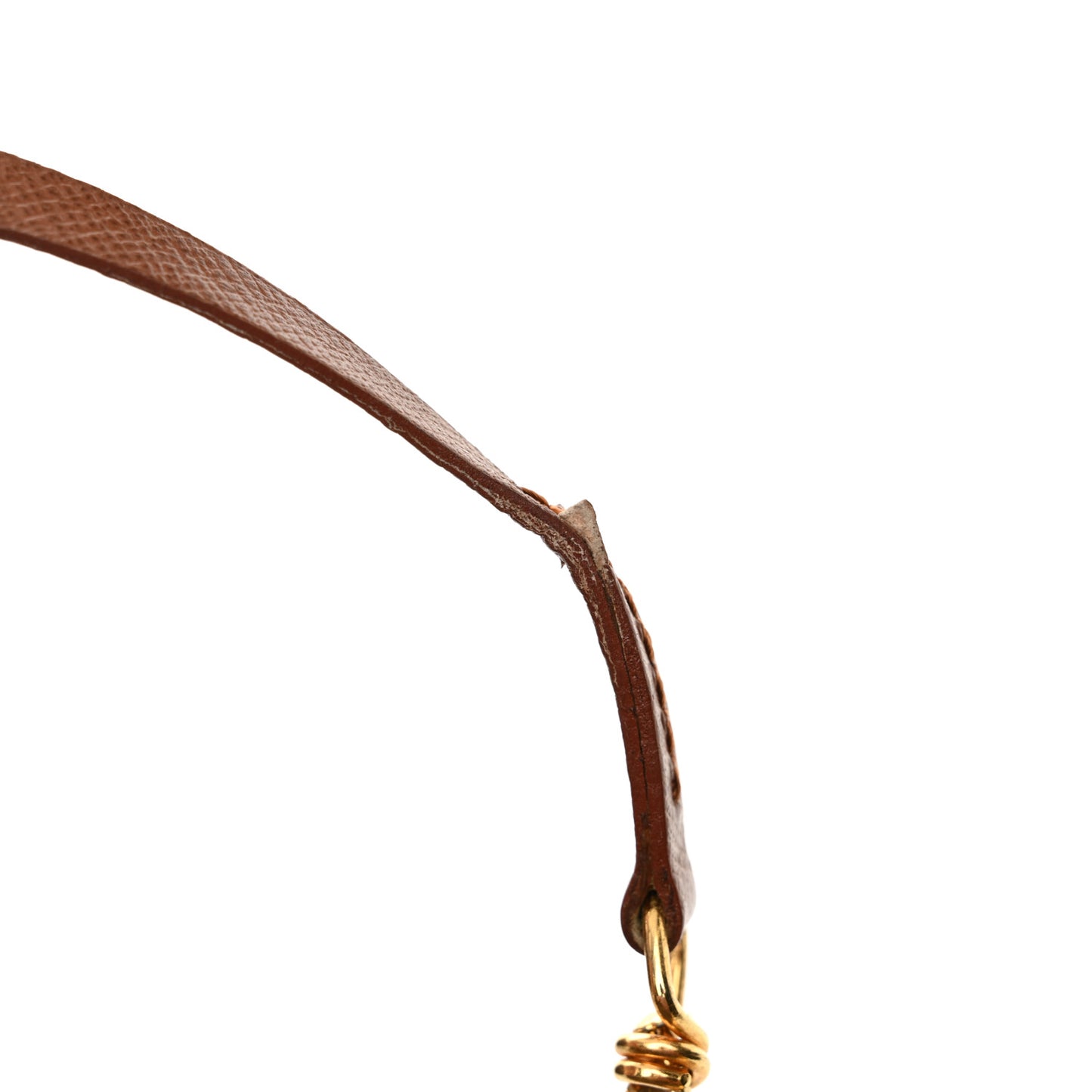 Monogram Papillon 30 with Companion