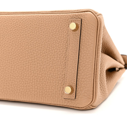 Hermes Togo Birkin 25 Chai 10 of 11