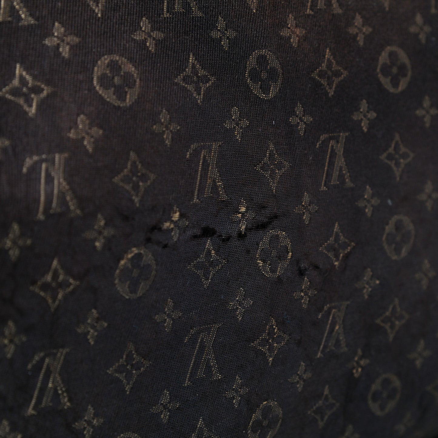 Monogram Idylle Speedy Bandouliere 30 Fusain