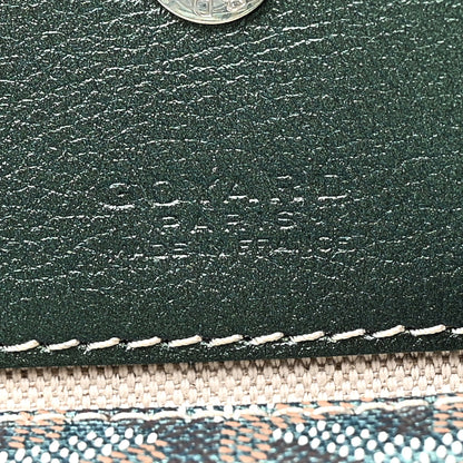 Goyard Iridescent Goyardine Saint Louis PM Pearly Green 7 of 11