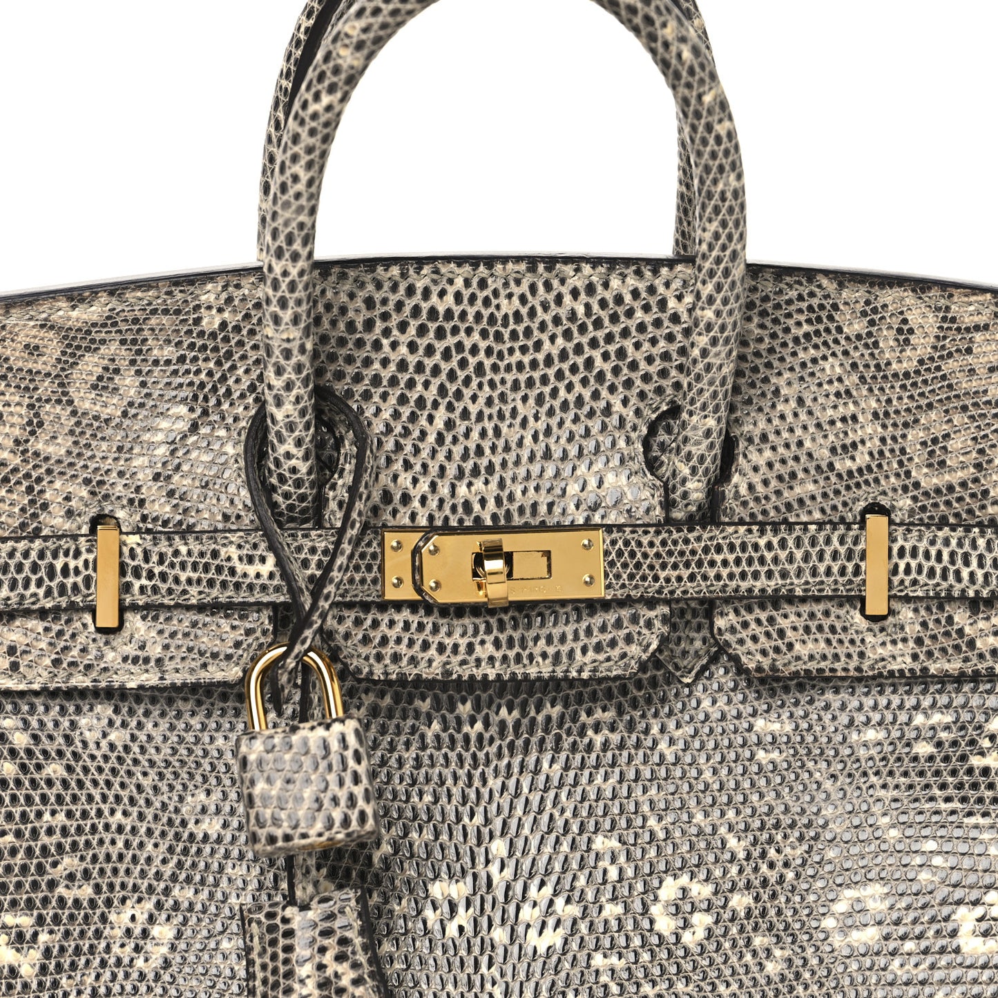 Lizard Birkin 25 Ombre