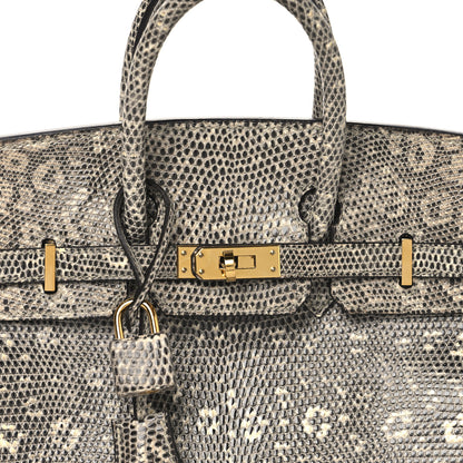 Hermes Lizard Birkin 25 Ombre 8 of 13