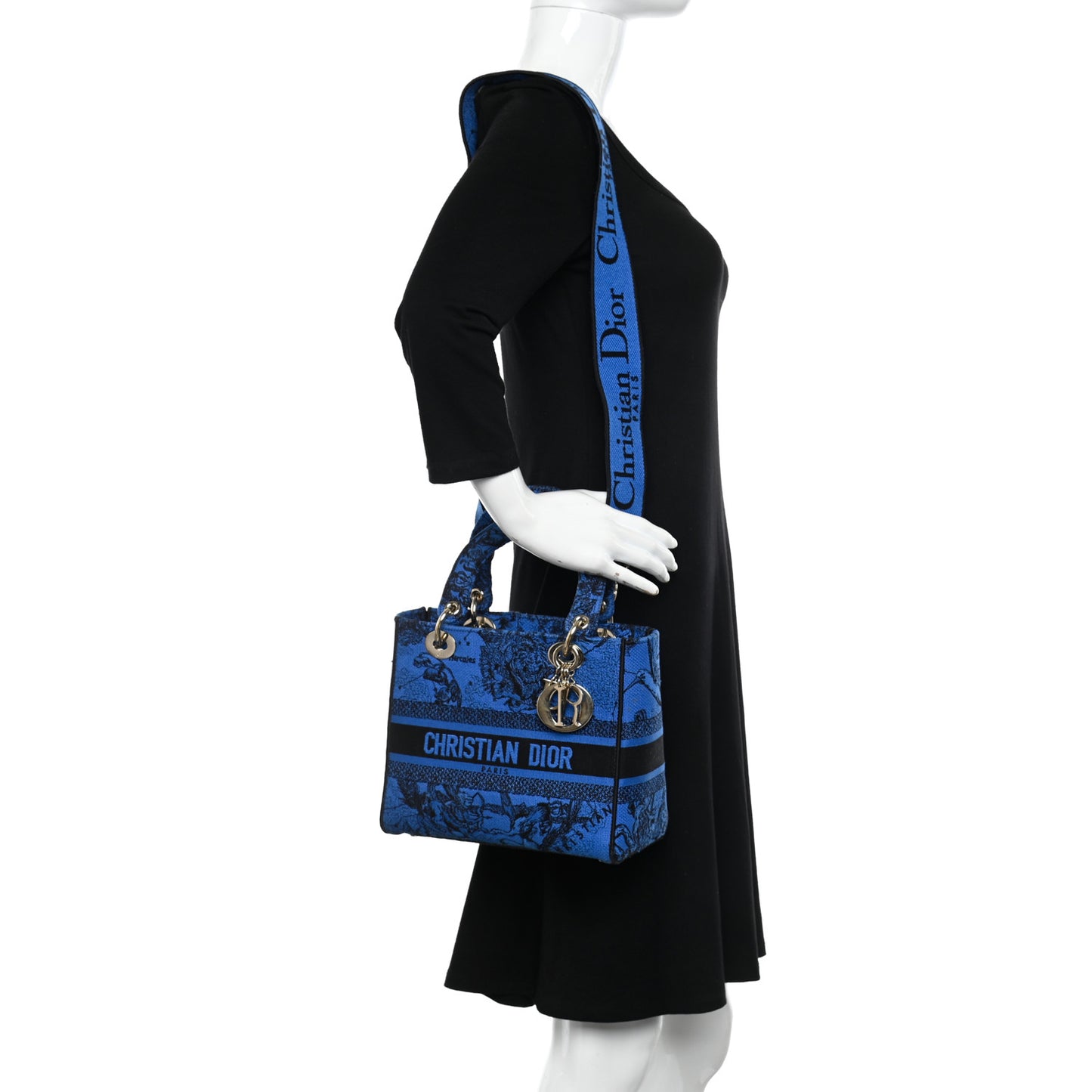 Canvas Toile de Jouy Zodiac Embroidered Medium Lady D-Lite Blue