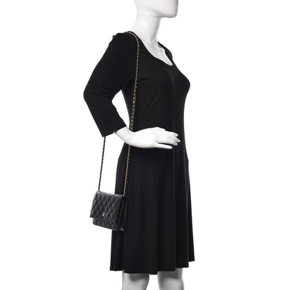 Chanel Caviar Quilted Wallet On Chain WOC Black 2 of 11
