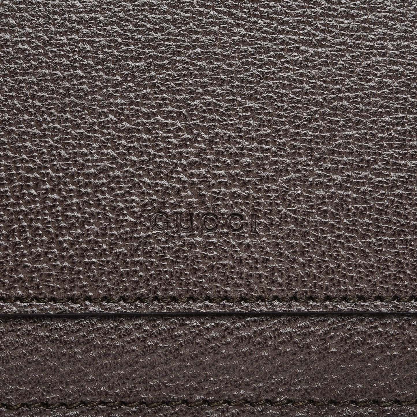 Textured Calfskin Web Medium Dionysus Shoulder Bag New Acero