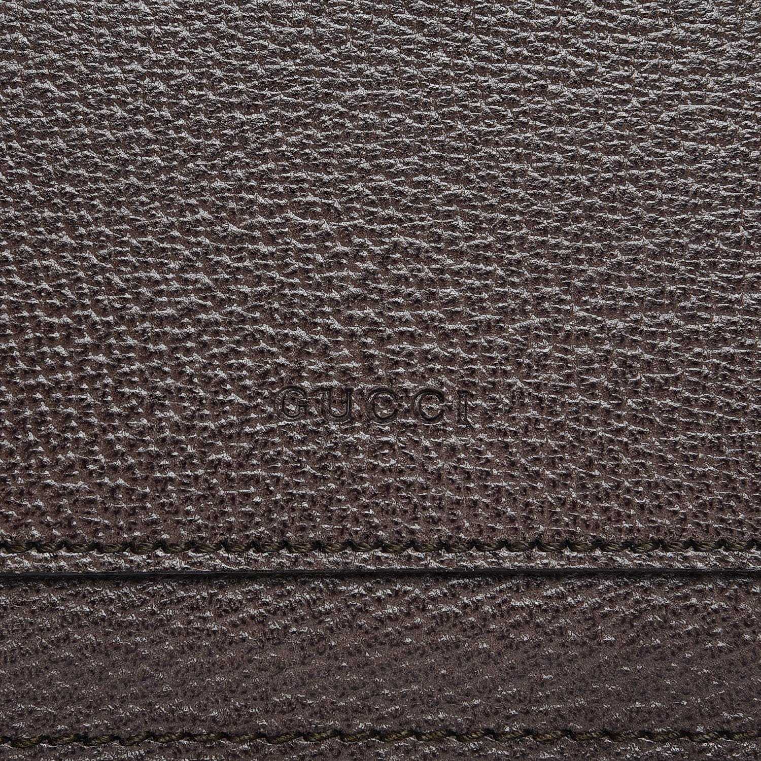 Gucci Textured Calfskin Web Medium Dionysus Shoulder Bag New Acero 9 of 9